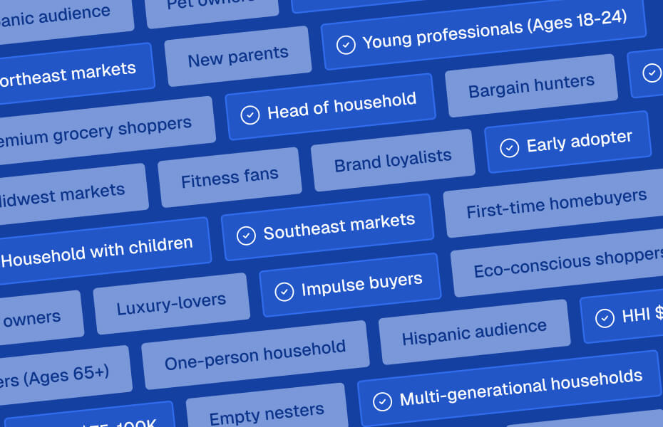 A selection of custom targeting options including demographics, geographics, and shopper behaviors such as Head of Household, Impulse Buyers, Southeast Markets, and Early Adopters, with select filters chosen to illustrate campaign customization